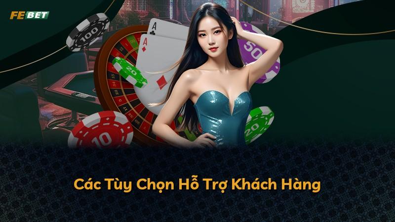 Các Tùy Chọn Hỗ Trợ Khách Hàng