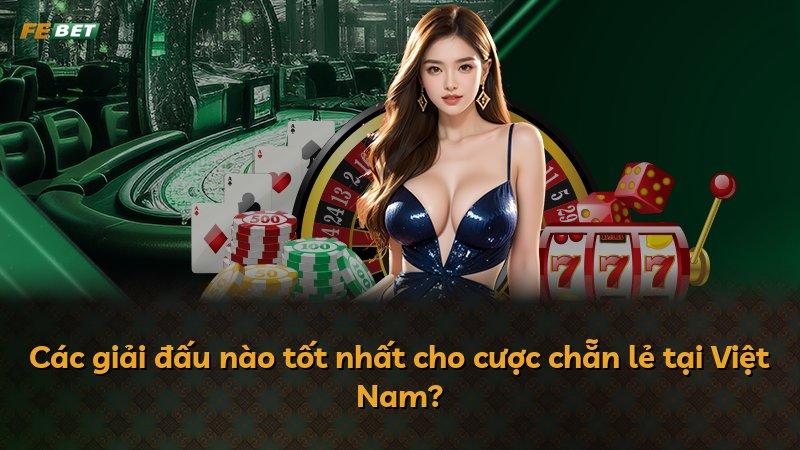 Các giải đấu nào tốt nhất cho cược chẵn lẻ tại Việt Nam?