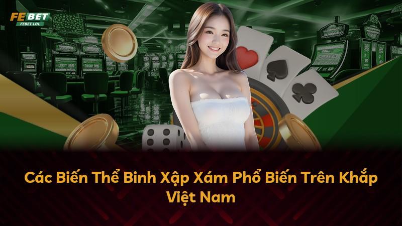 Các Biến Thể Binh Xập Xám Phổ Biến Trên Khắp Việt Nam