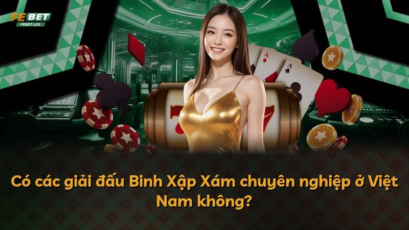 Có các giải đấu Binh Xập Xám chuyên nghiệp ở Việt Nam không?