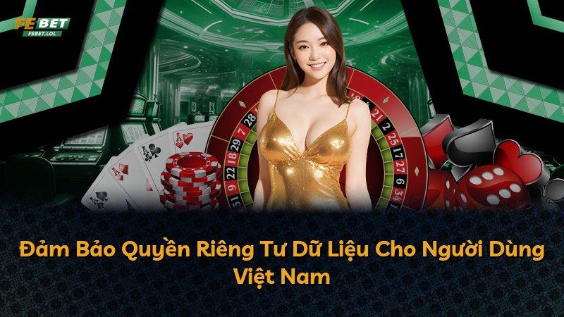 Đảm Bảo Quyền Riêng Tư Dữ Liệu Cho Người Dùng Việt Nam