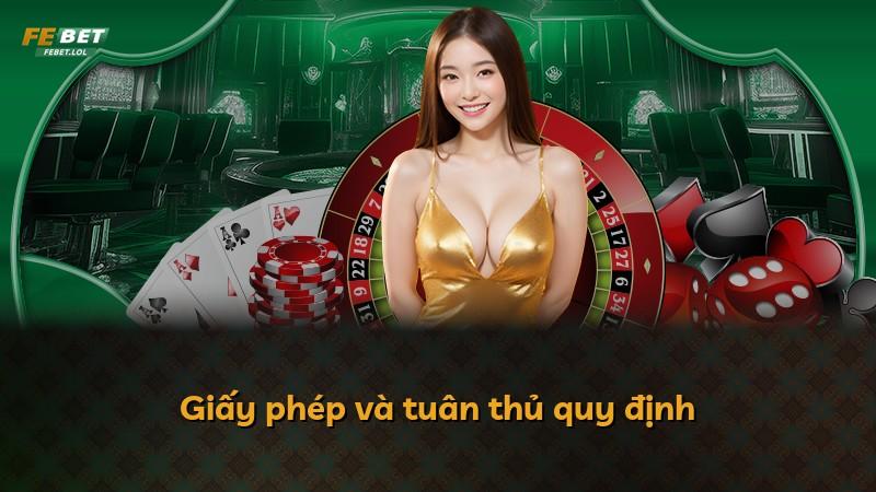 Giấy phép và tuân thủ quy định