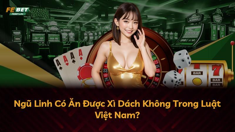 Ngũ Linh Có Ăn Được Xì Dách Không Trong Luật Việt Nam?