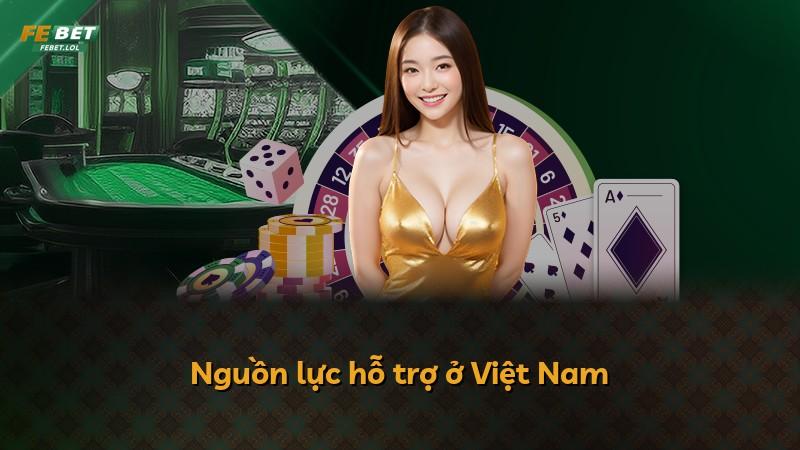 Nguồn lực hỗ trợ ở Việt Nam