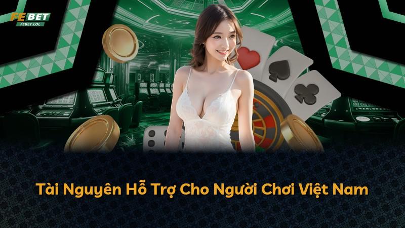 Tài Nguyên Hỗ Trợ Cho Người Chơi Việt Nam