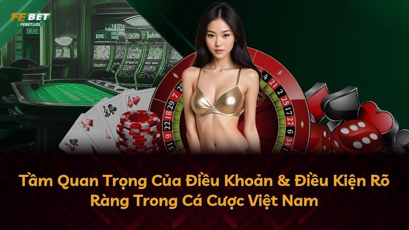 Tầm Quan Trọng Của Điều Khoản & Điều Kiện Rõ Ràng Trong Cá Cược Việt Nam