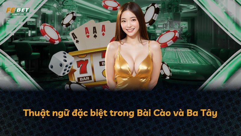 Thuật ngữ đặc biệt trong Bài Cào và Ba Tây