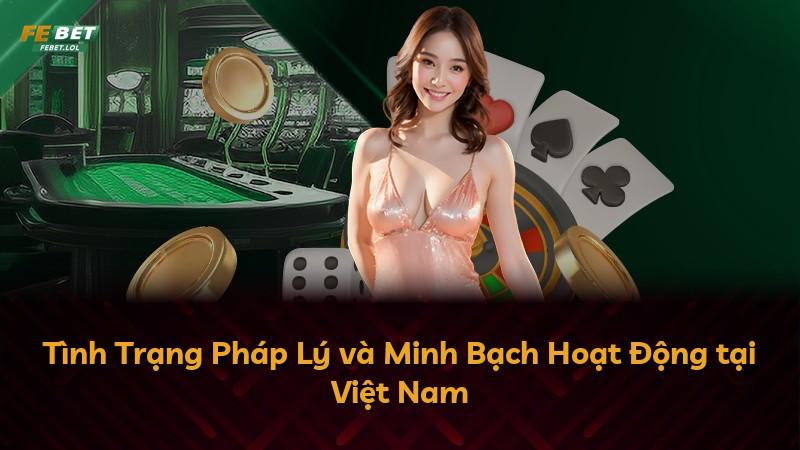 Tình Trạng Pháp Lý và Minh Bạch Hoạt Động tại Việt Nam